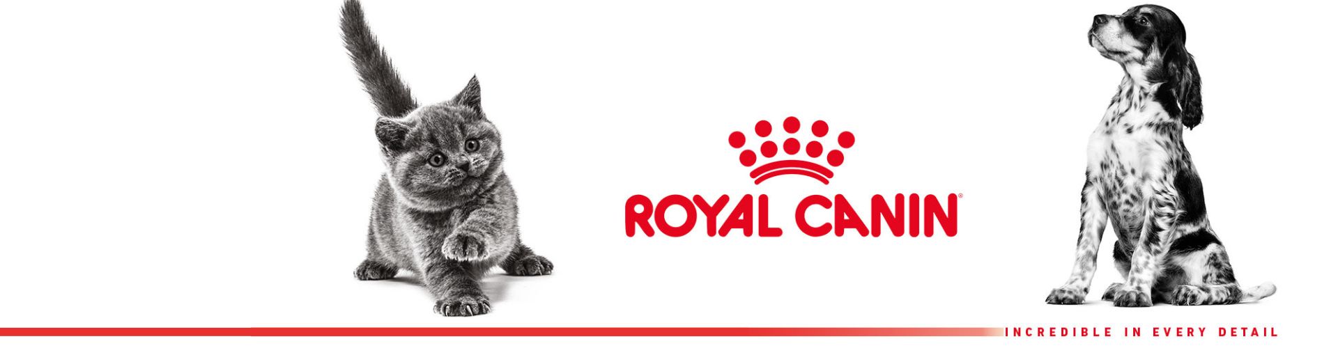 Royal Canin