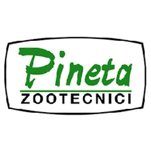 Pineta Logo