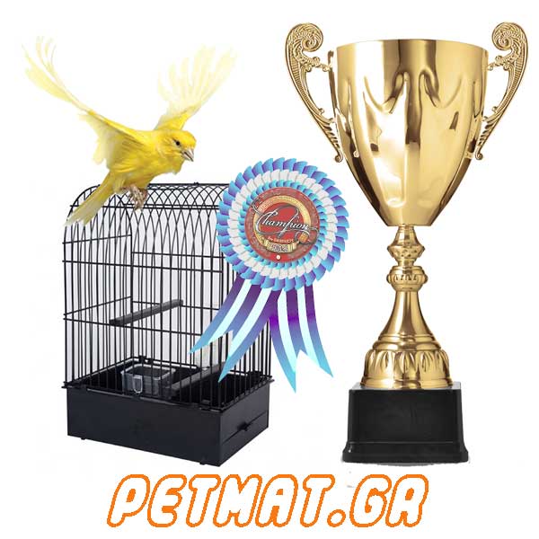 Εκθεσιακά Αξεσουάρ