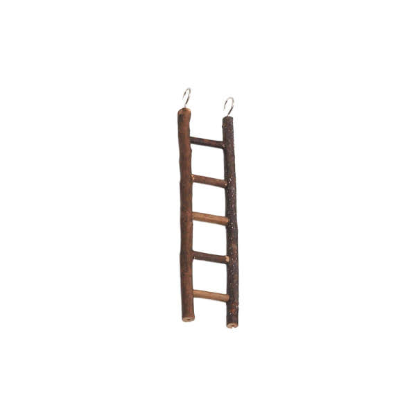 88436.jpg