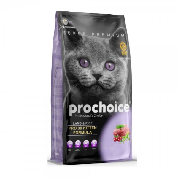 PRO38KITTEN.jpg