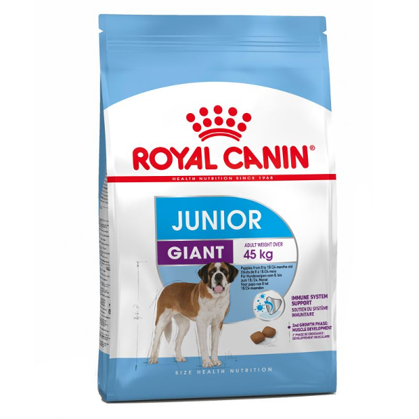 giantjounior7.jpg