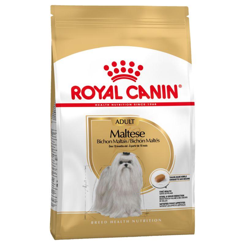 maltese.jpg