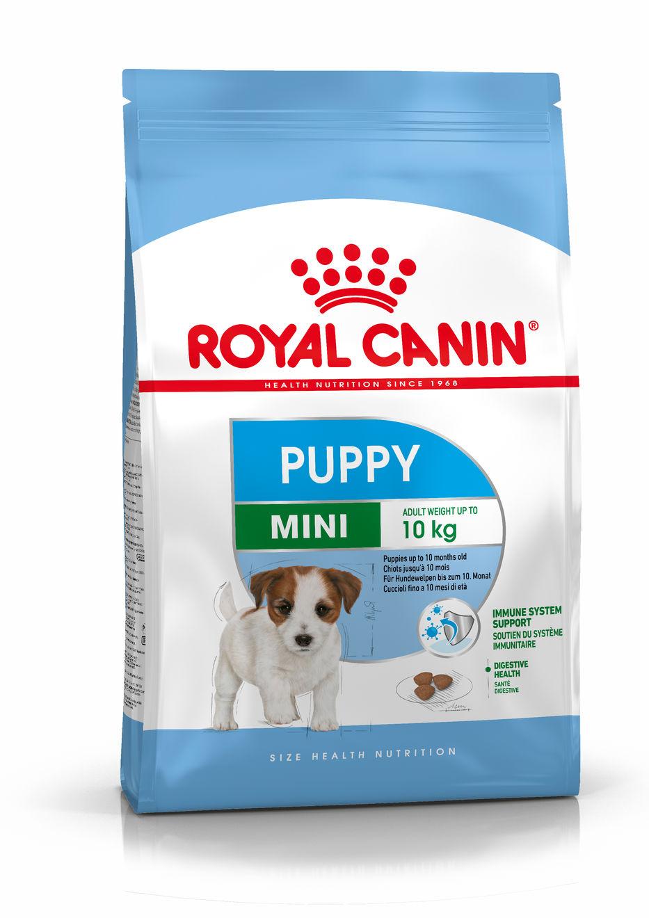 mini-puppy8.jpg