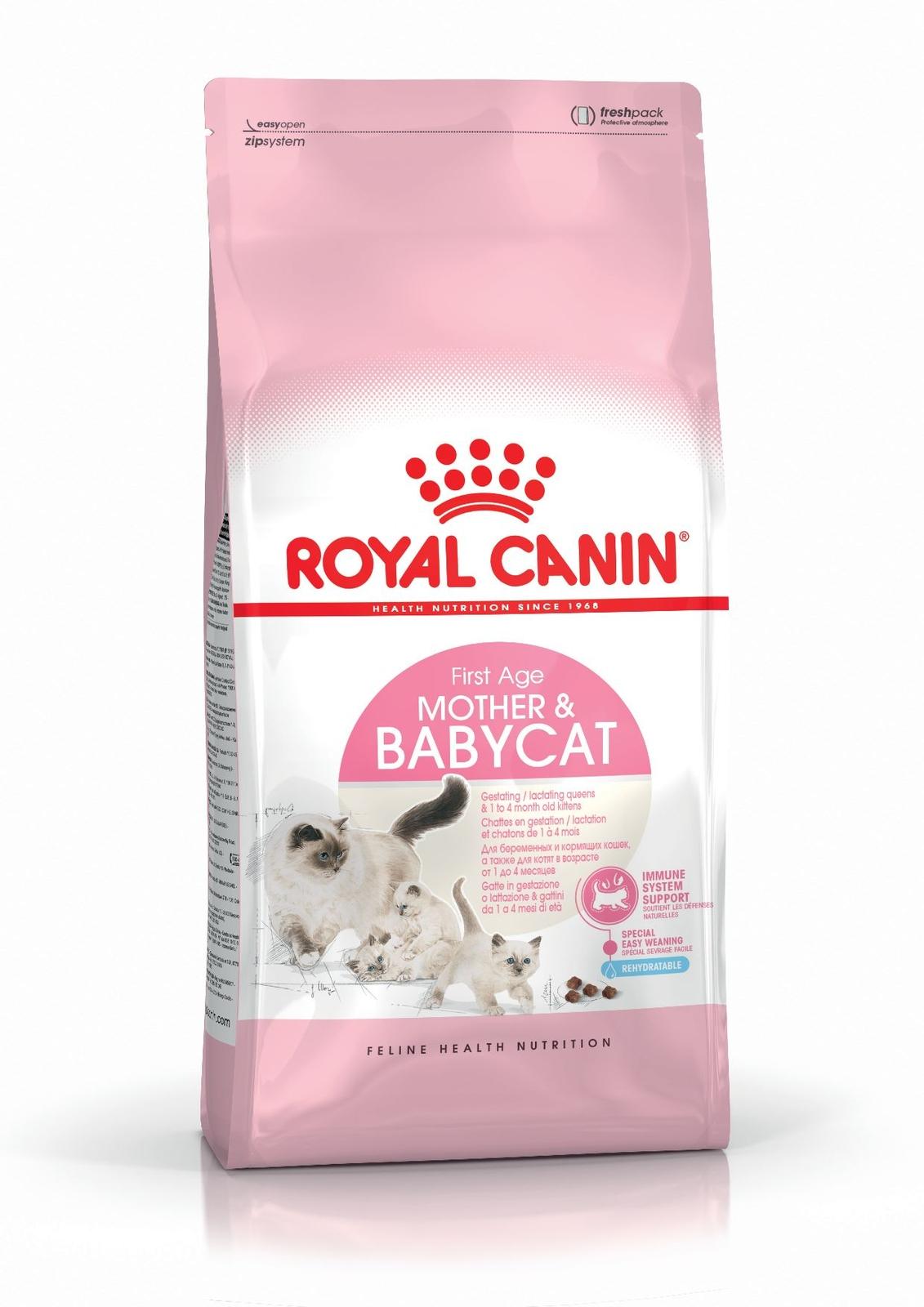 mother-and-babycat8.jpg