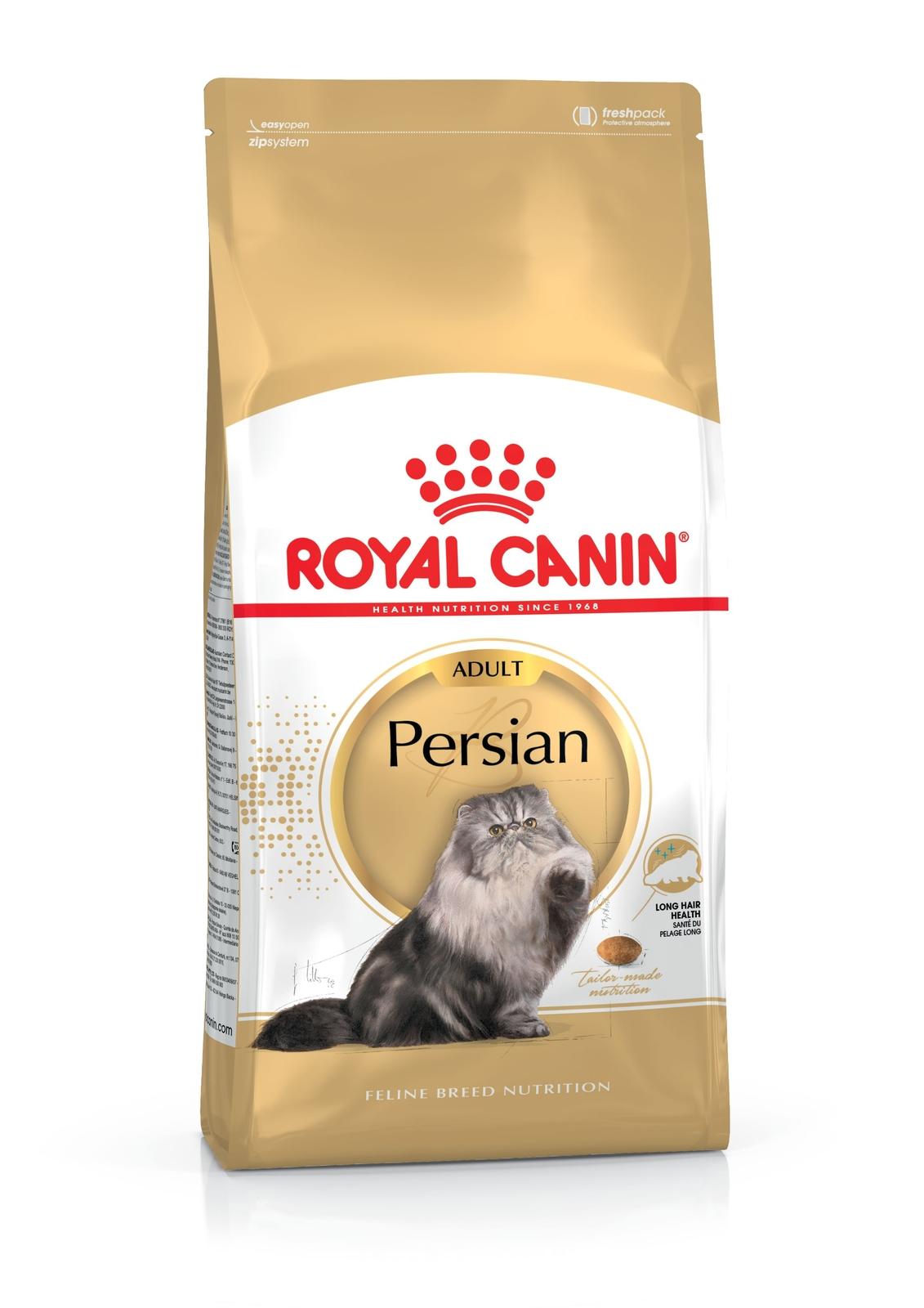 persian-adult.jpg