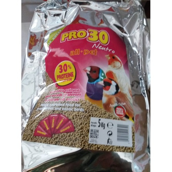 pro6003.jpg