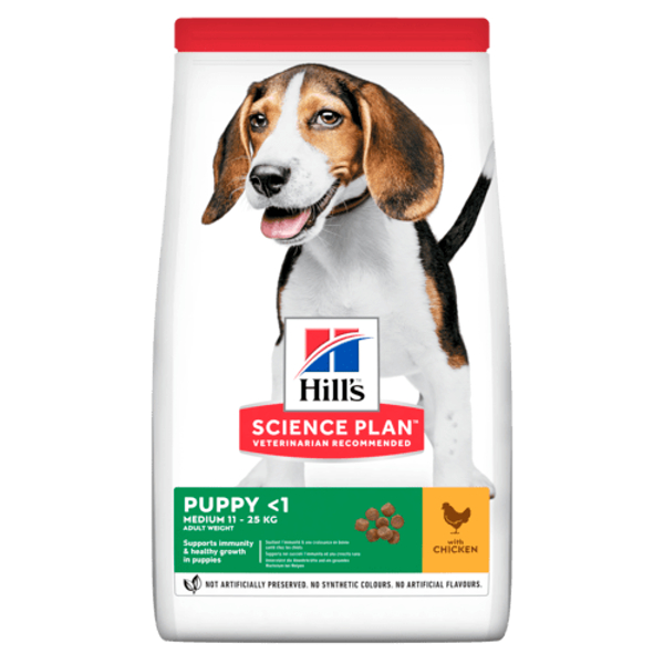 puppymediumhicke.jpg