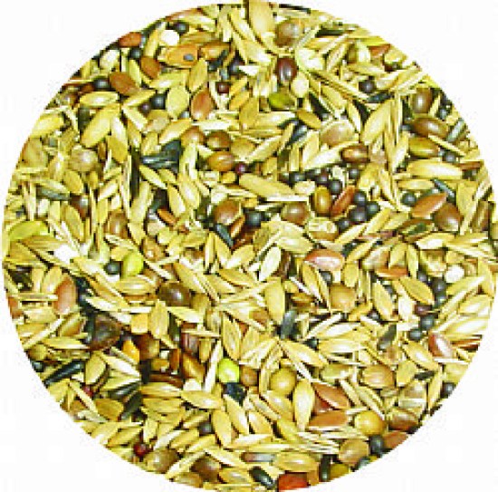 PRO MIX BAG4.jpg