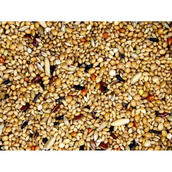 verselelaga-prestige-tropical-finch-mix-4kg.jpg