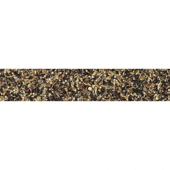petmat-pdf-253688.jpg