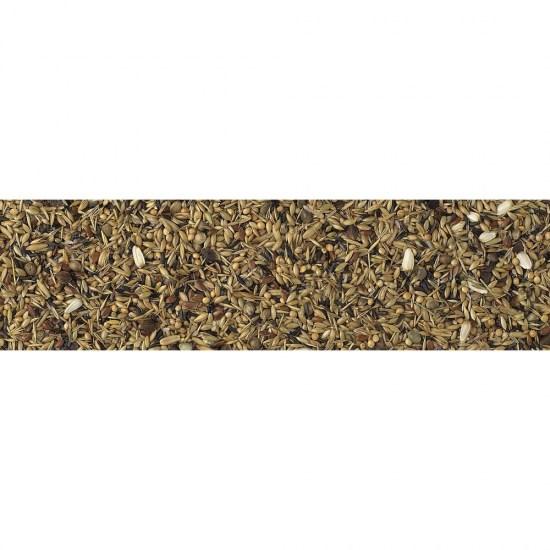 petmat-pdf-25367.jpg