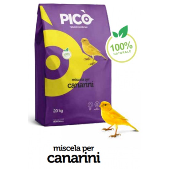 Canarini-800x8002