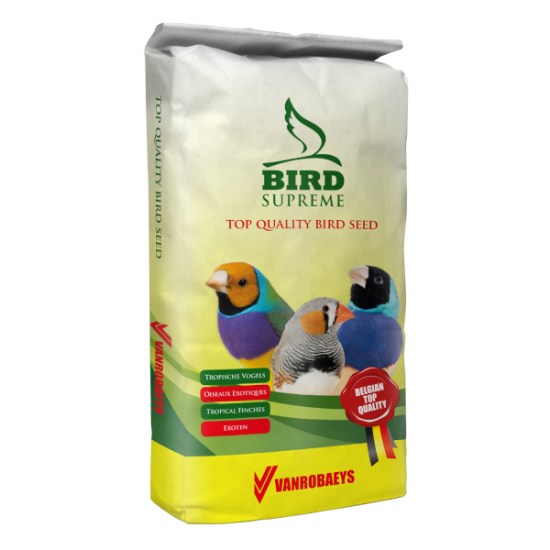 GOULDIAN_1