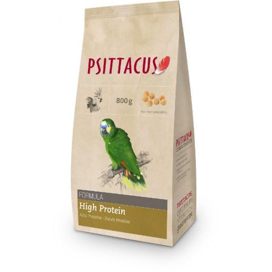 PI-1310800g
