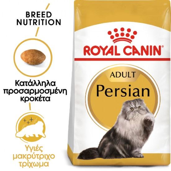 persian-adult7.jpg