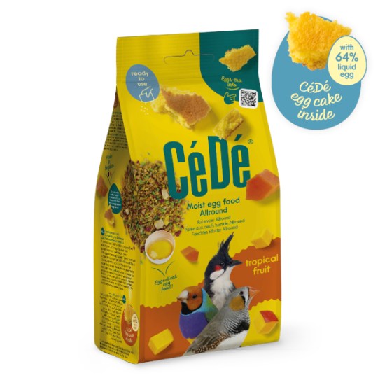 Snack_TropicalFruit1