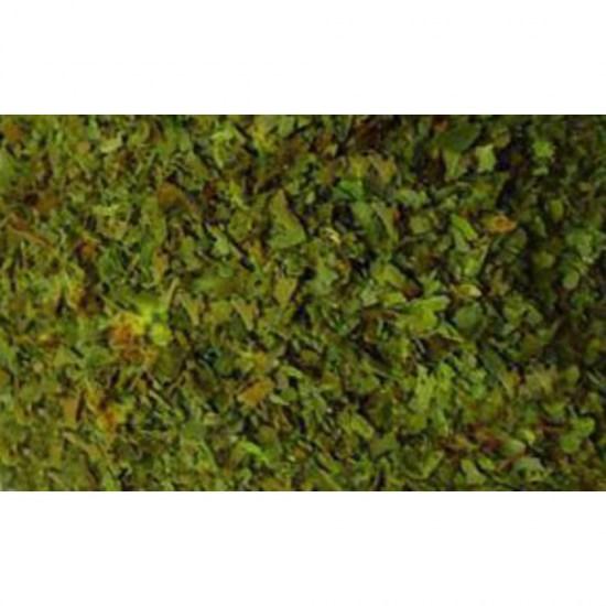 basil