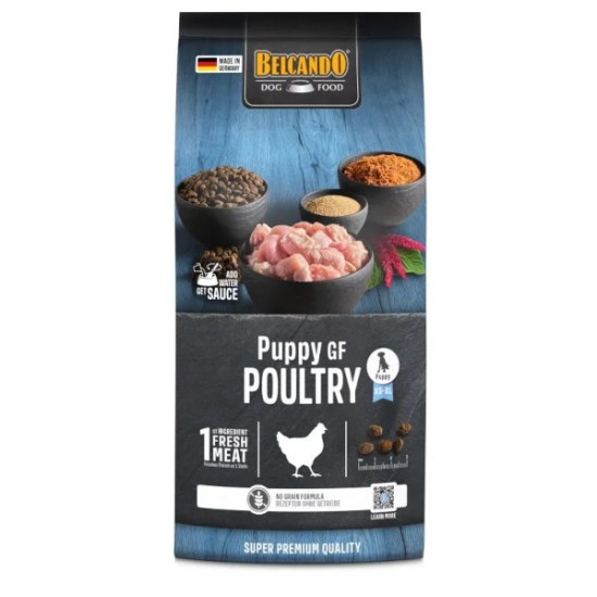 PuppyGFPoultry6.jpg