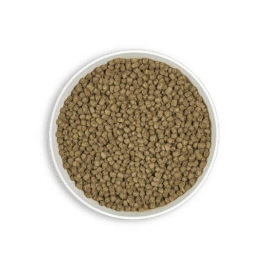 bol-alcoad-min-600x600-adult-rabbit-800x800