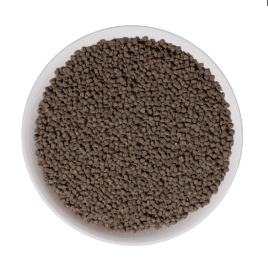 bol_erizo_hedgehog-800x8004