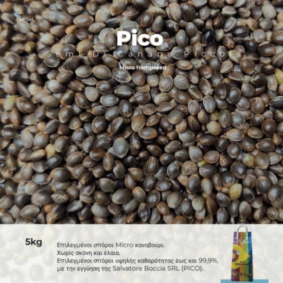 canapa1-800x800
