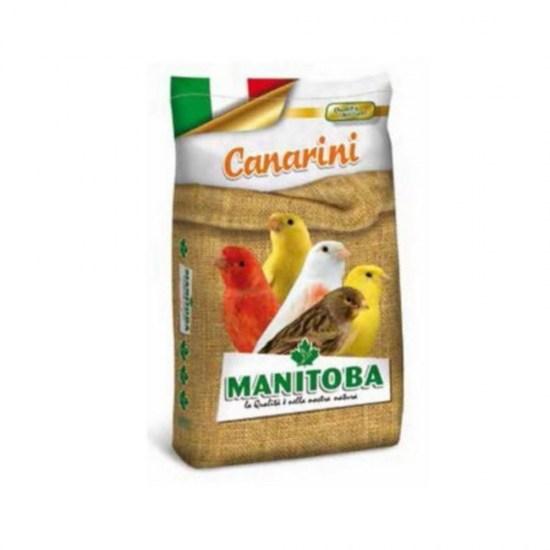 canarini