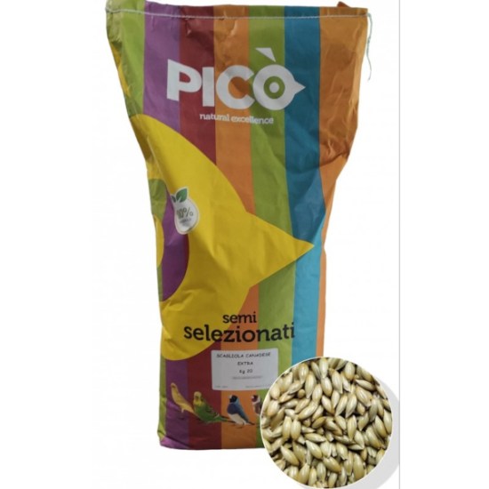 canaryseed1-800x800