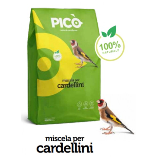 cardelini-800x800