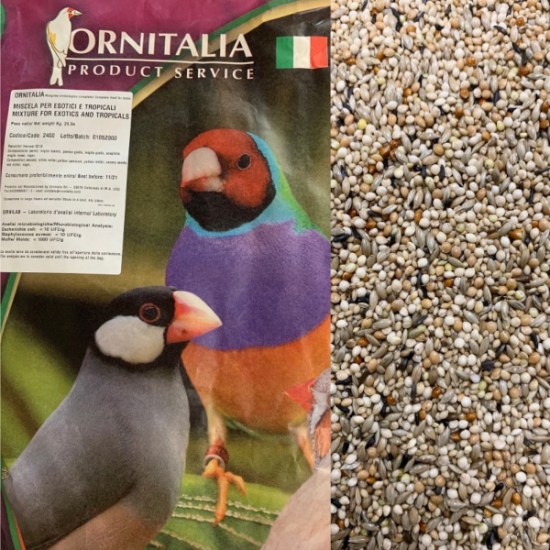 esotici-tropicali-20kg-800x800