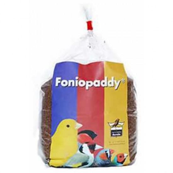 fonio