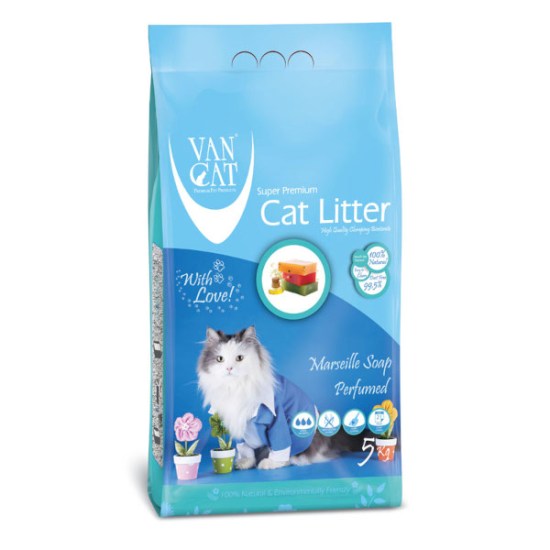 van cat ap.jpg