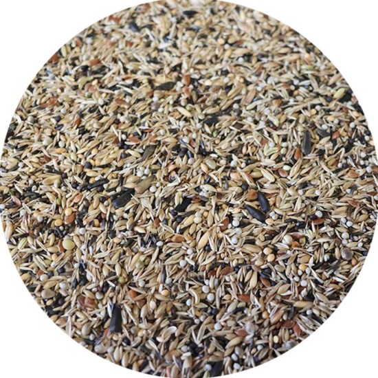 miscela-greg-seeds1250-1000x1000-800x8002