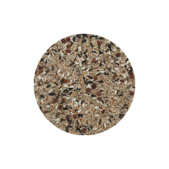 miscela-red-green-cardinal-1000x1000-800x800