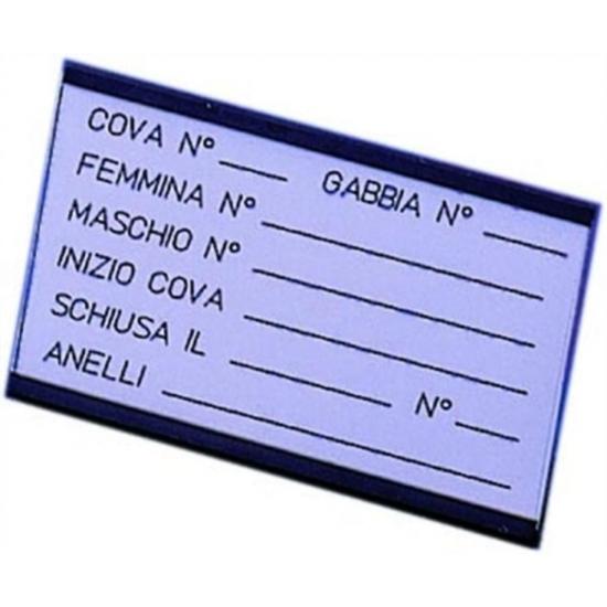 n0803082