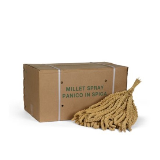 panico-in-spiga-15kg9