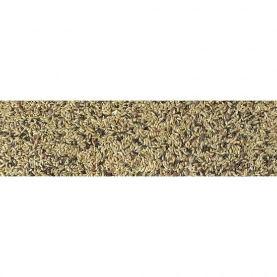 petmat-pdf-244288.jpg