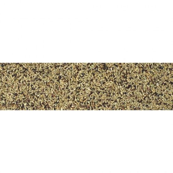 petmat-pdf-244242.jpg
