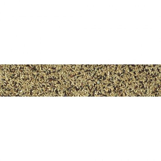 petmat-pdf-244216.jpg