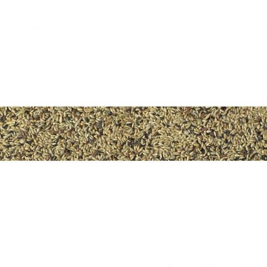 petmat-pdf-244254.jpg