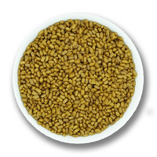 pro33-WEBsalmon