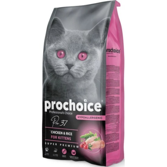 PRO38KITTEN.jpg