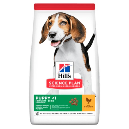 puppymediumhicke3