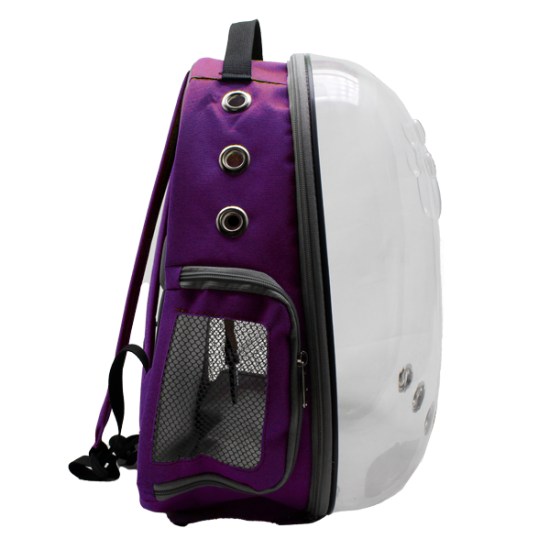 purple2