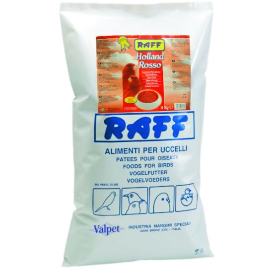 raff40035