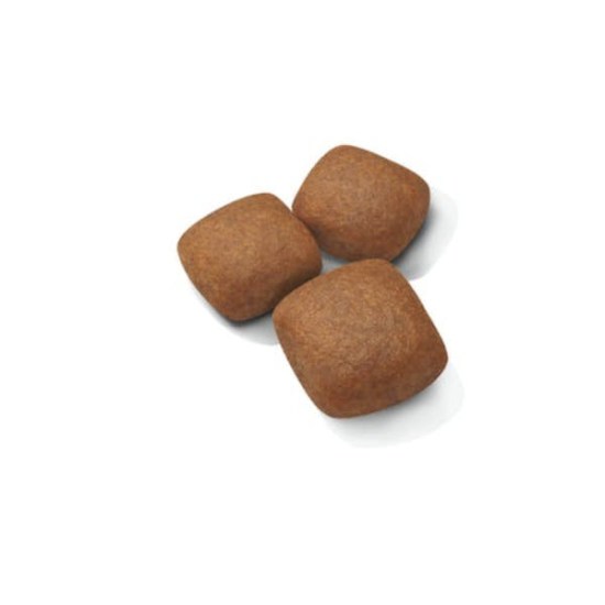 packshot-puppy-giant-shn17.jpg