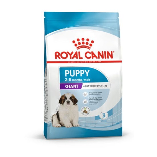 packshot-puppy-giant-shn17.jpg