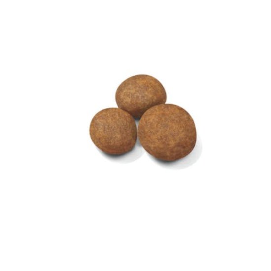 sol-maxi-puppy-dry-kibble-b1