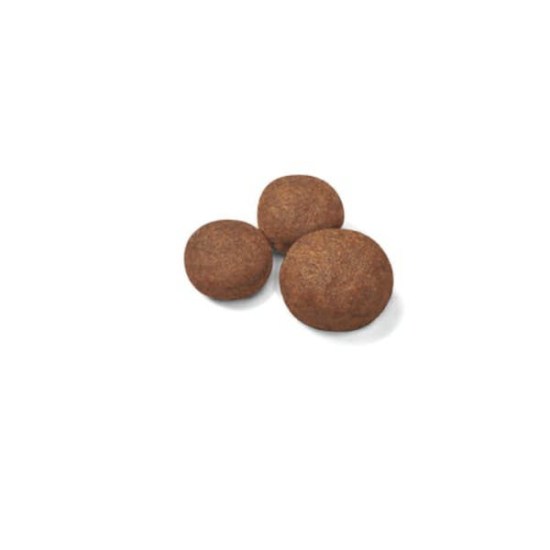 sol-medium-puppy-dry-kibble-b1