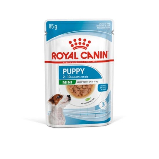shn18-mini-puppy-n-pouch-85.jpg